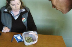 Veronica Curie of the Always Growing Green Society sells a 'UBC', a strain of medicinal marijuana to a customer. (Photo by Colleen Flanagan)